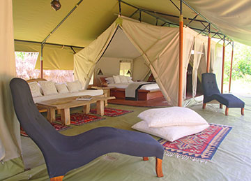 naibor luxury camp masai mara kenya